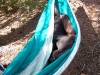 Gene sleeping in the hammock.