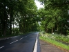 This is an example of many of the roads that we traveled in Germany.  Notice the bike path on the right side.