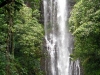 A waterfall on the side of the road between Hana and Kahului.